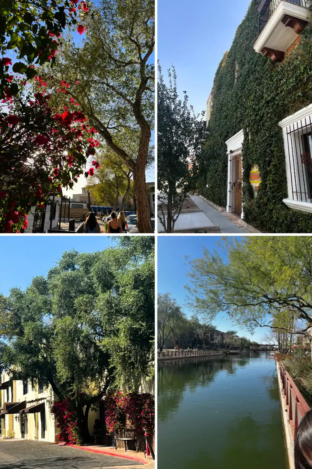 A collage of four outdoor scenes featuring trees, flowering plants, a vine-covered building, and a calm canal bordered by greenery.