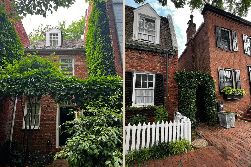 Two brick houses with ivy-covered walls, black shutters, and white-trimmed windows; one features a white picket fence and brick walkway.