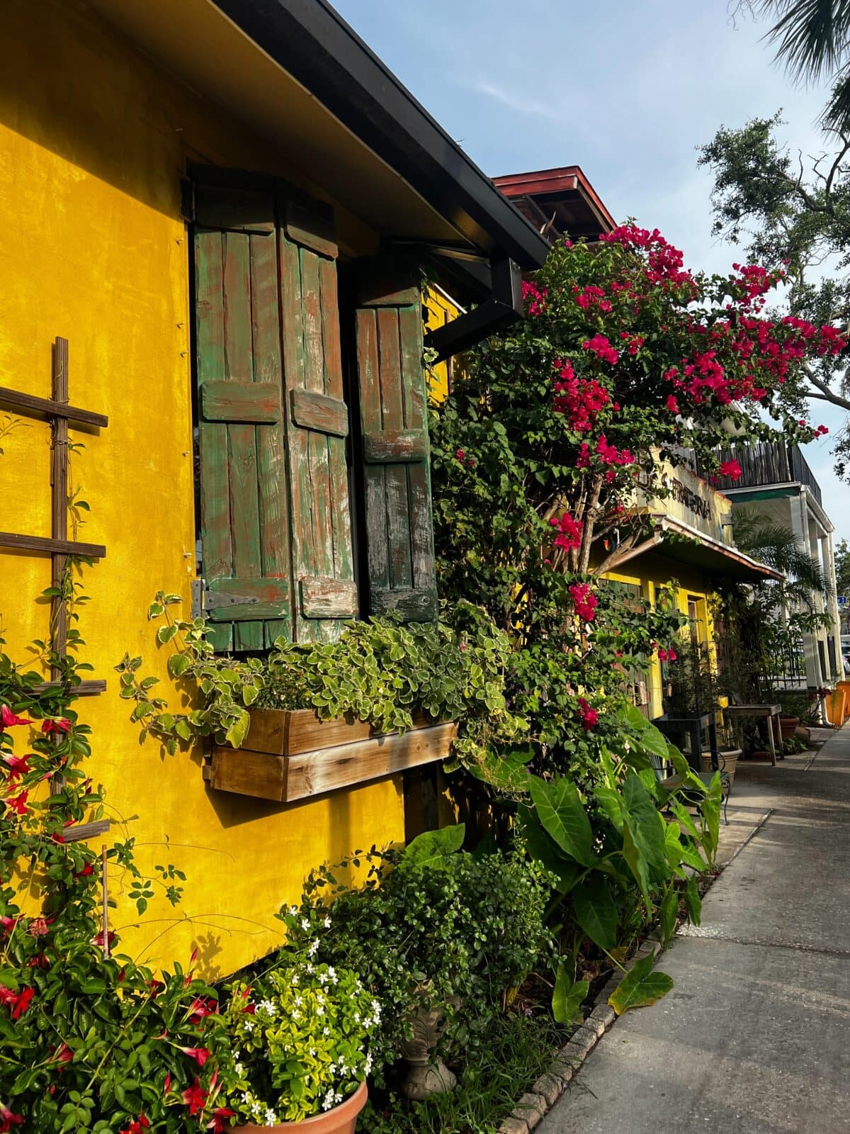 A yellow house with rustic wooden shutters and a window box filled with plants; flowering vines climb the wall, and greenery lines the sidewalk in bright sunlight.