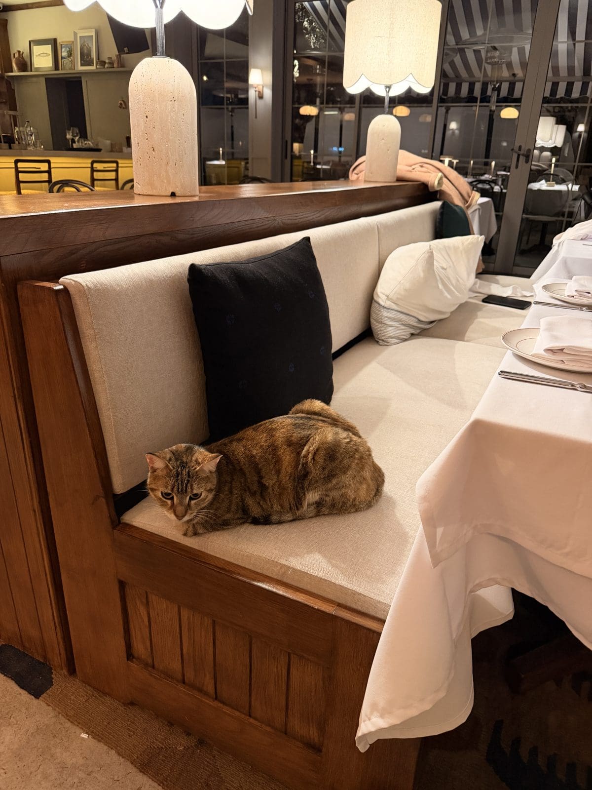 A tabby cat is lying on a cushioned bench in a restaurant, next to a table set with white linens and plates.
